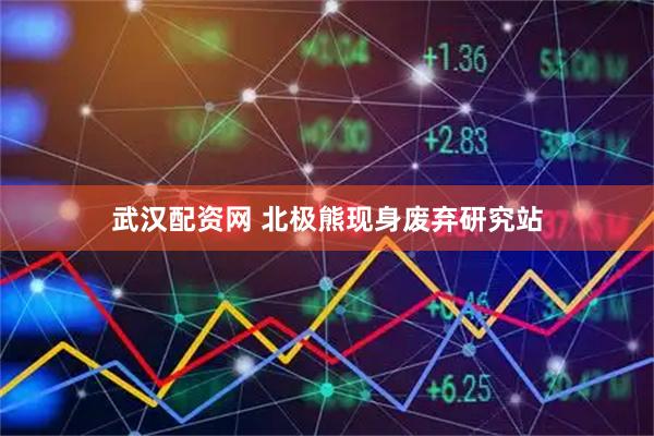 武汉配资网 北极熊现身废弃研究站