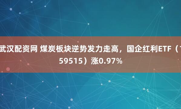 武汉配资网 煤炭板块逆势发力走高，国企红利ETF（159515）涨0.97%