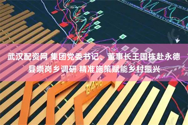 武汉配资网 集团党委书记、董事长王国栋赴永德县崇岗乡调研 精准施策赋能乡村振兴