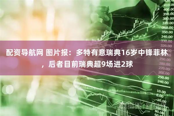 配资导航网 图片报：多特有意瑞典16岁中锋菲林，后者目前瑞典超9场进2球