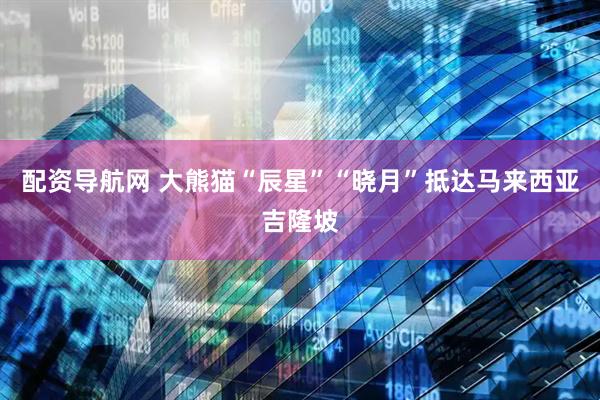 配资导航网 大熊猫“辰星”“晓月”抵达马来西亚吉隆坡