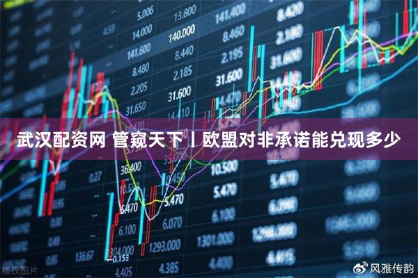 武汉配资网 管窥天下丨欧盟对非承诺能兑现多少