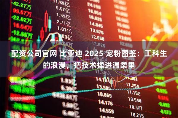 配资公司官网 比亚迪 2025 宠粉图鉴：工科生的浪漫，把技术揉进温柔里